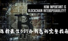 选择最佳BSV冷钱包的完整