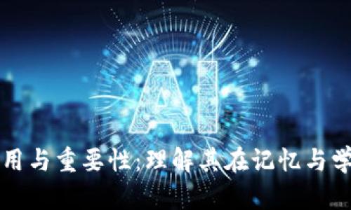 助记词的作用与重要性：理解其在记忆与学习中的应用