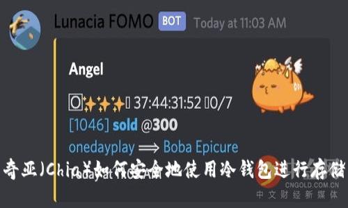 奇亚（Chia）如何安全地使用冷钱包进行存储