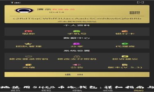 ```xml
如何安全地使用SHIB币冷钱包：详细指南与最佳实践