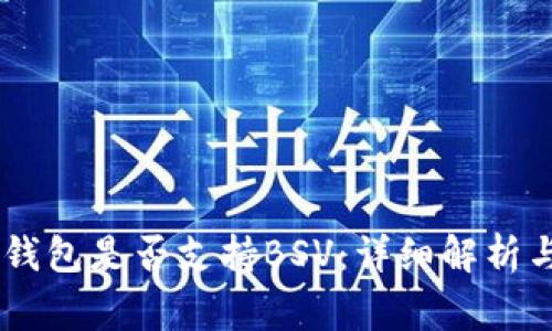 Ledger冷钱包是否支持BSV：详细解析与使用指南