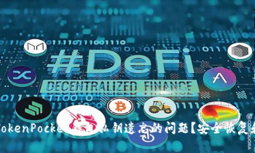 如何处理TokenPocket钱包私钥遗忘的问题？安全恢复和保护指南