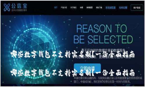 哪些数字钱包不支持实名制？一份全面指南

哪些数字钱包不支持实名制？一份全面指南