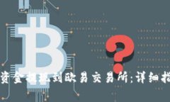 如何将TP钱包资金提现到欧