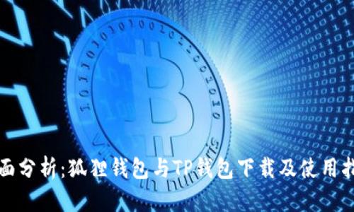 全面分析：狐狸钱包与TP钱包下载及使用指南