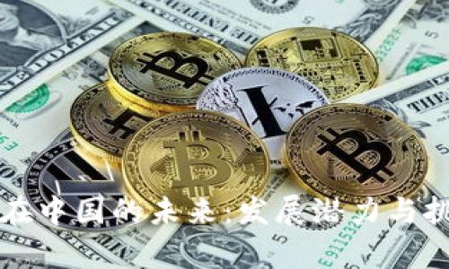 TP钱包在中国的未来：发展潜力与挑战分析
