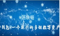 ### TP钱包：一个新兴的多
