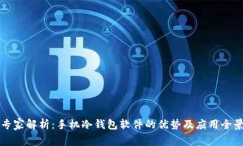 专家解析：手机冷钱包软件的优势及应用全景
