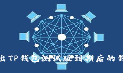 如何导出TP钱包测试版到期后的钱包数据