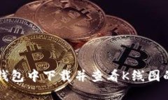 如何在TP钱包中下载并查看