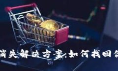 TP钱包转币消失解决方案：