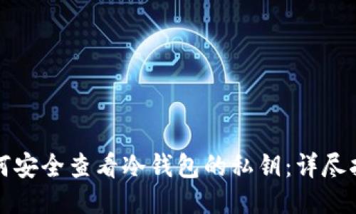 如何安全查看冷钱包的私钥：详尽指南
