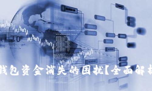 如何应对TP钱包资金消失的困扰？全面解析与解决方案