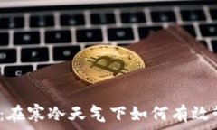   冬季理财：在寒冷天气下如何有效管理财务？
