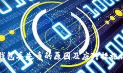 TP钱包丢失币的原因及应对措施详解