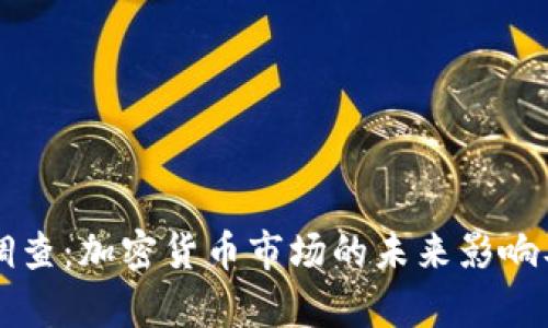 钱包TP被调查：加密货币市场的未来影响及深度解析