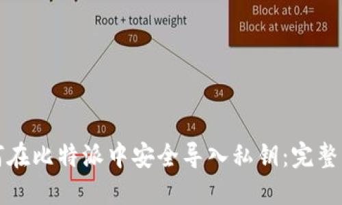 如何在比特派中安全导入私钥：完整指南