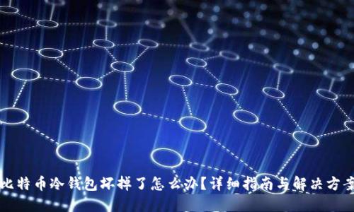 比特币冷钱包坏掉了怎么办？详细指南与解决方案