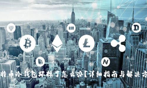 比特币冷钱包坏掉了怎么办？详细指南与解决方案