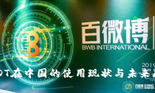 USDT在中国的使用现状与未来展望
