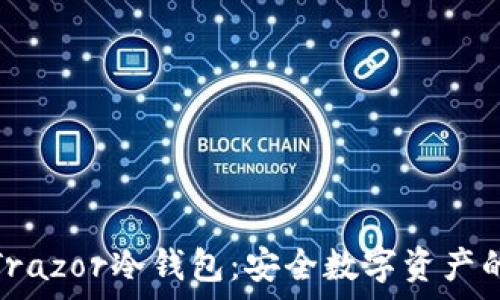   
全面解析Trazor冷钱包：安全数字资产的必备选择