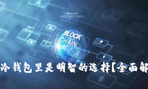 为什么把钱放在冷钱包里是明智的选择？全面解析数字资产安全