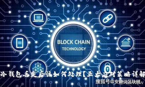 冷钱包丢失后该如何处理？五大应对策略详解