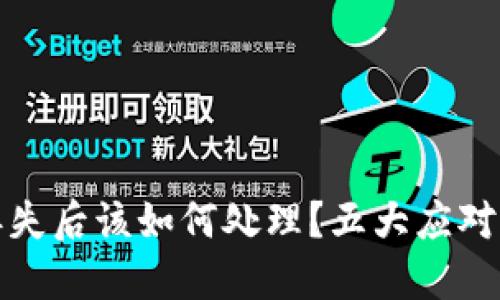 冷钱包丢失后该如何处理？五大应对策略详解