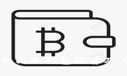 国外使用的热门冷钱包推荐及其安全性解析
