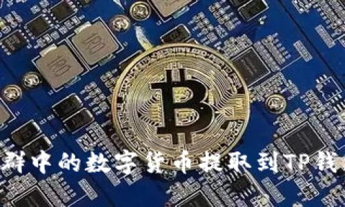 如何将交易群中的数字货币提取到TP钱包：完整指南