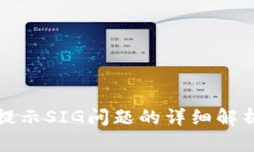 TP钱包转账提示SIG问题的详细解析与解决方案