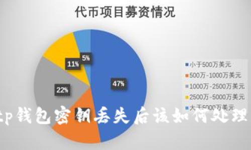 tp钱包密钥丢失后该如何处理？