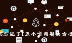 TP钱包支付密码忘记了？五