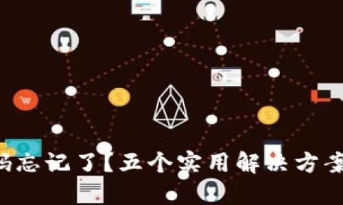 TP钱包支付密码忘记了？五个实用解决方案教你轻松找回！
