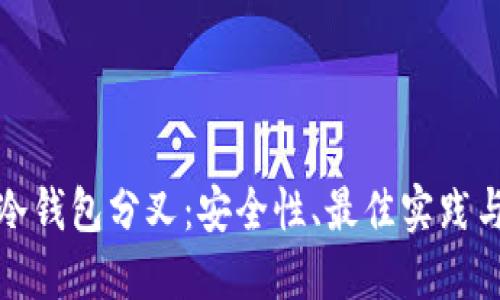 深入探讨冷钱包分叉：安全性、最佳实践与未来趋势