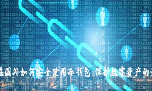 中国人在国外如何安全使用冷钱包：保护数字资产的最佳实践