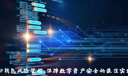  
TP钱包风险管控：保障数字资产安全的最佳实践