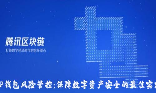  
TP钱包风险管控：保障数字资产安全的最佳实践