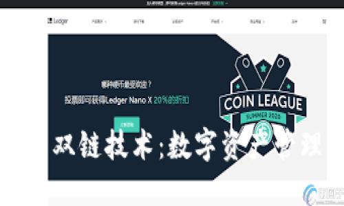 探索TP钱包双链技术：数字资产管理的新未来