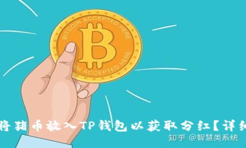如何将猪币放入TP钱包以获取分红？详细指南