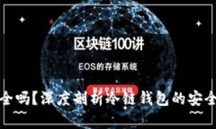 冷链钱包安全吗？深度剖