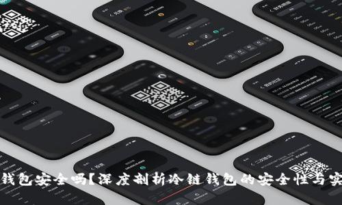冷链钱包安全吗？深度剖析冷链钱包的安全性与实用性