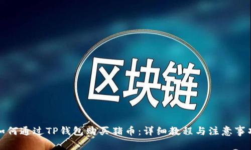 如何通过TP钱包购买猪币：详细教程与注意事项