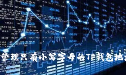 如何获取并管理只有小写字母的TP钱包地址：全面指南