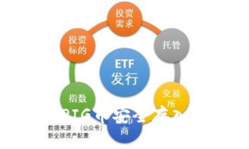 如何将PIG币安全存入冷钱包