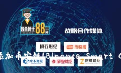 如何在TP钱包中添加币安链(Binance Smart Chain)的详细指南