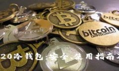 全面解析T20冷钱包：安全