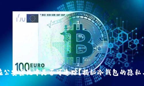 冷钱包在公安系统中是否可追踪？揭秘冷钱包的隐私与安全性