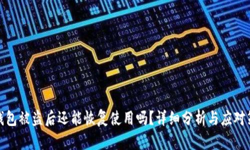 TP钱包被盗后还能恢复使用吗？详细分析与应对策略