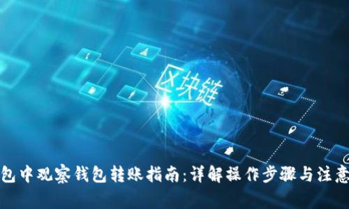 TP钱包中观察钱包转账指南：详解操作步骤与注意事项